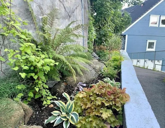 Cosy House With Sunny Terrace, Garden And Fjord View