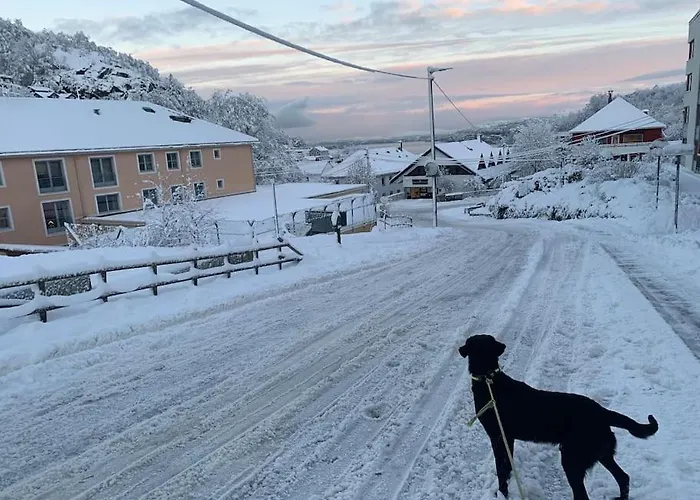 Cosy House With Sunny Terrace, Garden And Fjord View *
